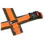 Preview: annyX Brustgeschirr Fun, oliv/orange