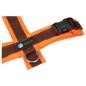 Preview: annyX Brustgeschirr Protect, leuchtorange/braun