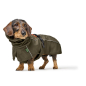 Preview: Hundemantel Nordby Dachshund, oliv