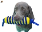 Preview: KONG® Jaxx Brights Stick 20 cm (ca. 33 cm Gesamtlänge mit Seil)