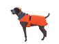 Preview: Hundemantel mit Plüsch-Kragen und Führgurt, Signalorange