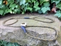 Preview: HWP Moxonleine mit Zugstop, Handmade, 6mm x 130cm, Oliv-Orange