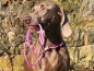 Preview: HWP Moxonleine mit Zugstop, Handmade, 6mm x 130cm, Hot-Pink