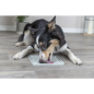 Preview: Trixie Lick'n'Snack Schleckmatte, Silikon, 20 × 20 cm, grau