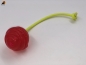 Preview: TPS Motivations-Spielzeug Ball Strong 6cm mit Biothane Wurfseil