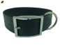 Preview: Halsband Classic aus TPU Gurtband, Dornschnalle eckig, Breite: 40 x 2,5mm