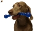 Preview: TPR Wabbel-Stick, dehnbar, schwimmfähig, Gr.2, 29cm