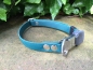 Preview: Biothane Beta ClicLock Halsband verstellbar, 19mm x 30-50cm