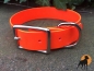 Preview: Biothane Beta Halsband XL Basic, 30mm, Signalorange