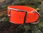 Preview: Biothane Beta Halsband XXL Classic, 38mm, Signalorange
