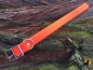 Preview: Biothane Beta Halsband XXL Classic, 38mm, Signalorange