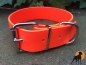 Preview: Biothane Beta Halsband XXL Basic, 38mm, Signalorange