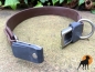 Preview: Biothane Beta ClicLock Maß-Halsband, 25mm