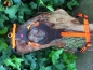 Preview: Niggeloh Führgeschirr Follow Start Orange/Braun