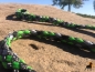 Preview: Tauwerk Agility & Retrieverleine G2 Classic 150cm, rund geflochten, Green Flash