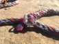 Preview: Tauwerk Agility & Retrieverleine G2 Classic 150cm, rund geflochten, Island