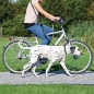 Preview: Dog Activity Fahrrad- und Joggingleine 25mm x 100-200cm