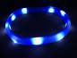 Preview: Flash USB Leuchtband M-L, 50cm / 18mm, blau (Kurzhaar)