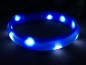 Preview: Flash USB Leuchtband XS-S, 35cm / 30mm, blau (Langhaar)
