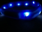 Preview: Flash USB Leuchtband XS-S, 35cm / 30mm, blau (Langhaar)