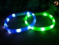 Preview: Flash USB Leuchtband L-XL, 70cm / 18mm, blau (Kurzhaar)