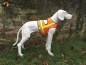 Preview: ZanTex Hundewarnweste mit Rückenöffnung, Gr. 3, Signalorange