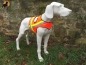 Preview: ZanTex Hundewarnweste mit Rückenöffnung, Gr. 3, Signalorange