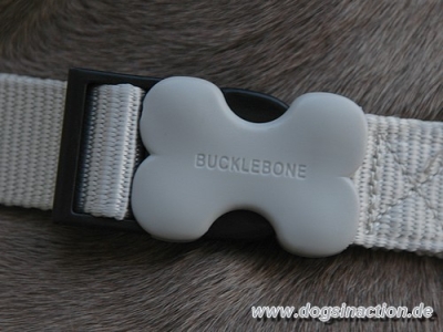 Preview: Red Dingo Halsband 25mm, 40-60cm, versch. Farben