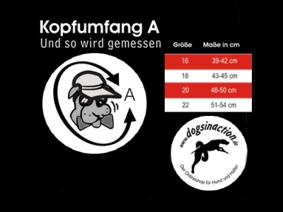 Hundecappy Blau