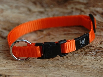 Halsband Sportiv Plus M, Orange