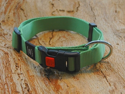 Halsband Sportiv Plus M, Kiwi
