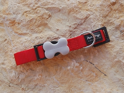 Red Dingo Nylon Halsband 18mm, rot
