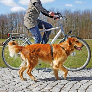 Trixie Fahrrad- und Joggingleine, mit Ruckdämpfer, 25mm x 100 - 200cm