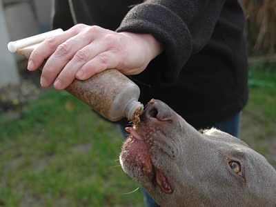 Preview: 1 Stk. Futtertube, Squeeze Tube mit PVC Verschluß, 200ml