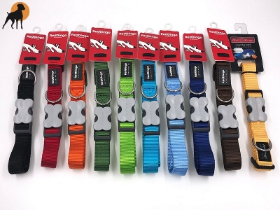 Red Dingo Nylon Halsband 25mm, versch. Farben