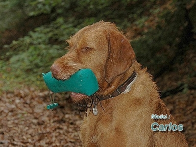 Romneys Standard Dummy 500g