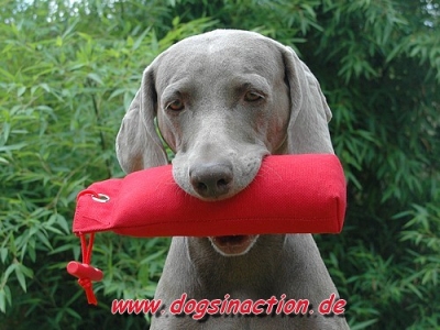 TOP ANGEBOT !!!! Canvas Retriever Dummy 500gr., schwimmfähig
