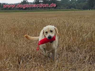 TOP ANGEBOT !!!! Canvas Retriever Dummy 500gr., schwimmfähig
