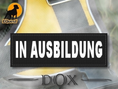 DoX Logosatz IN AUSBILDUNG
