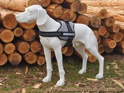 Equest 4 Dogs Premium Logo-Geschirr, Größe L, Quicksilver