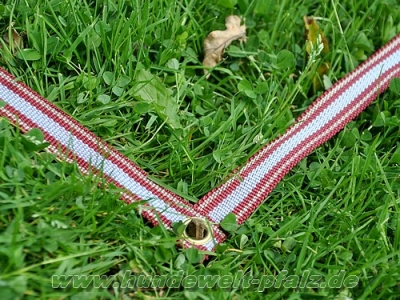 Boxenband für Obedience Granat, 3,16m x 3,16m