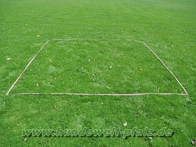 Boxenband für Obedience Granat, 3,16m x 3,16m