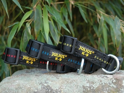 Julius K-9 Halsband 2,5cm schwarz/gelb