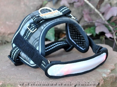 Flash Sicherheitsband mit Klettverschlüssen, 16cm