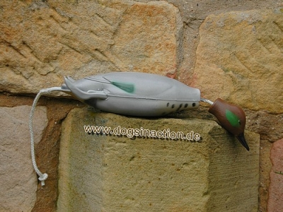Dokken Deadfowl Trainer Taube