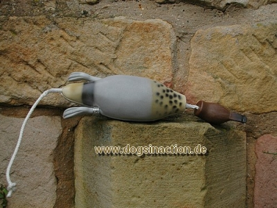Dokken Deadfowl Trainer Taube