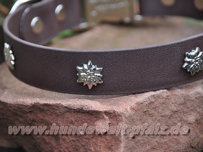 HWP Biothane Halsband Edelweiß 25mm, mit Alu-Verschluß