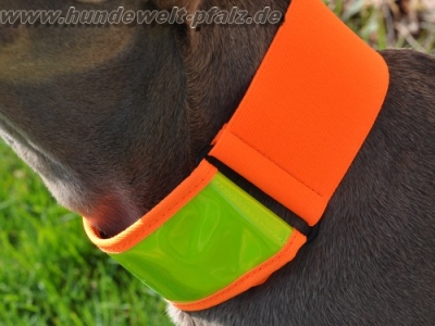 Niggeloh Warnhalsung XS 60mm x 30-40cm, nach EN 13356