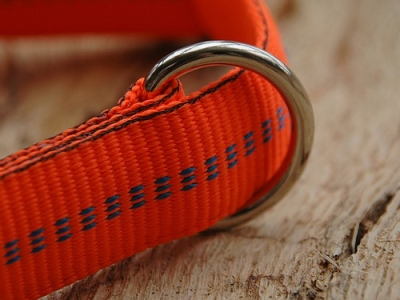 Preview: Koch Comfort Halsband, Gr.3, 25mm x 40-65cm, versch. Farben!!!