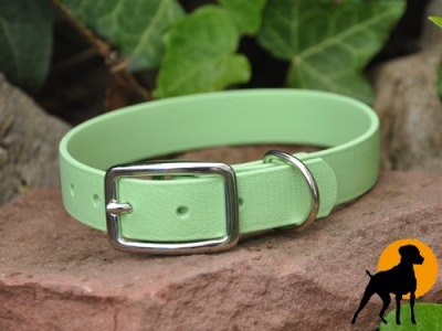 Biothane BETA Halsband 32cm x 19mm, Mintgrün